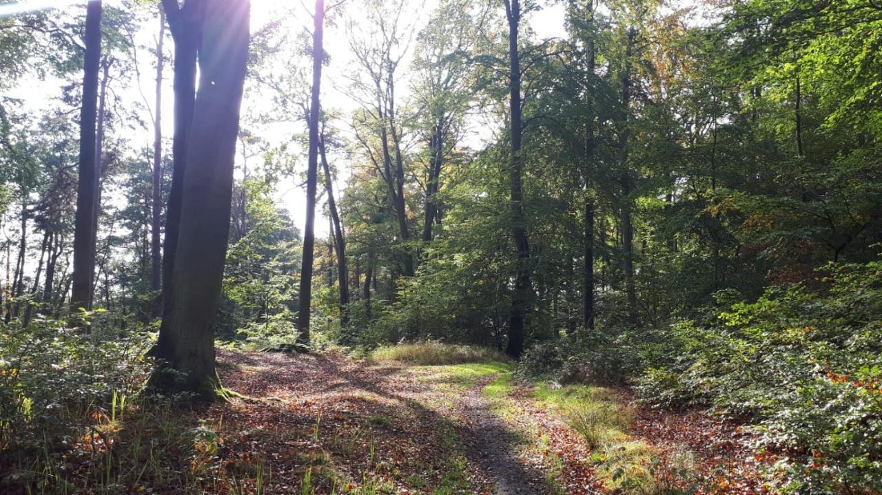 Ferienhaus Piel - Am Inselwald Юкериц Екстериор снимка